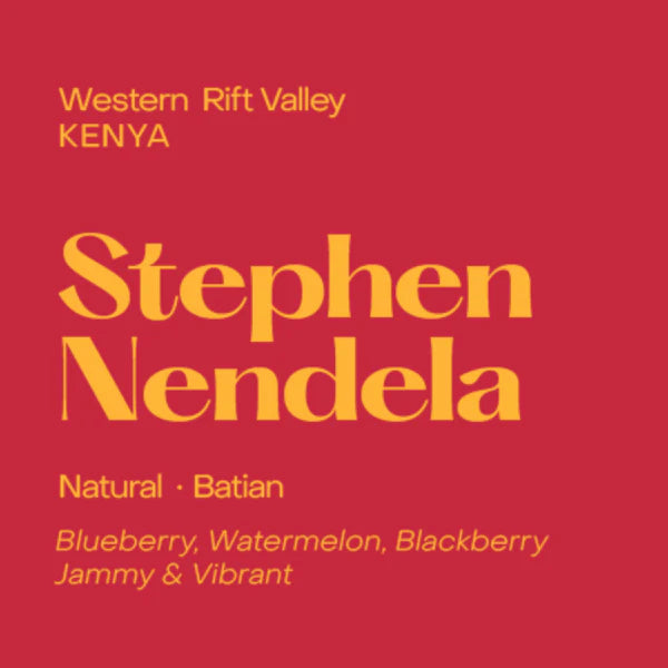 Kenya Stephan Nendela, Natural Batian, Subtext | 250g