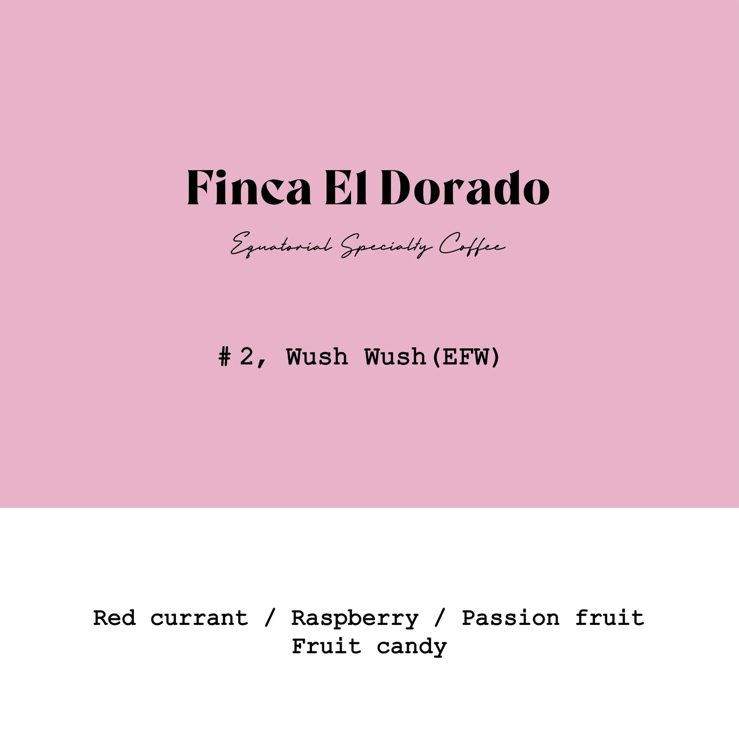 El Dorado Wush Wush Lot2 Extra Fermented Washed - Ecuador, Gout and Co | 100g