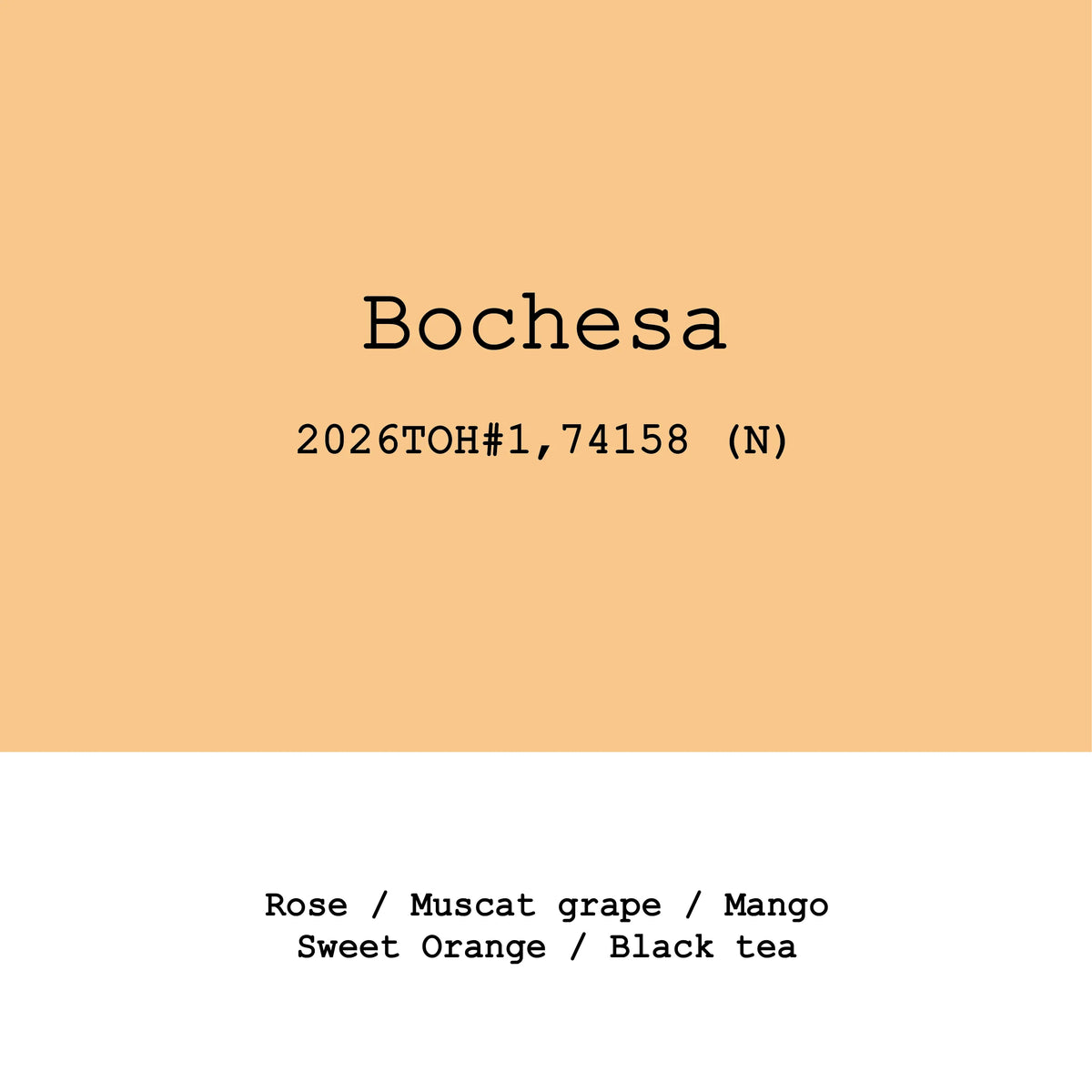 Bochesa 74158 natural - Ethiopia, Gout and Co | 100g