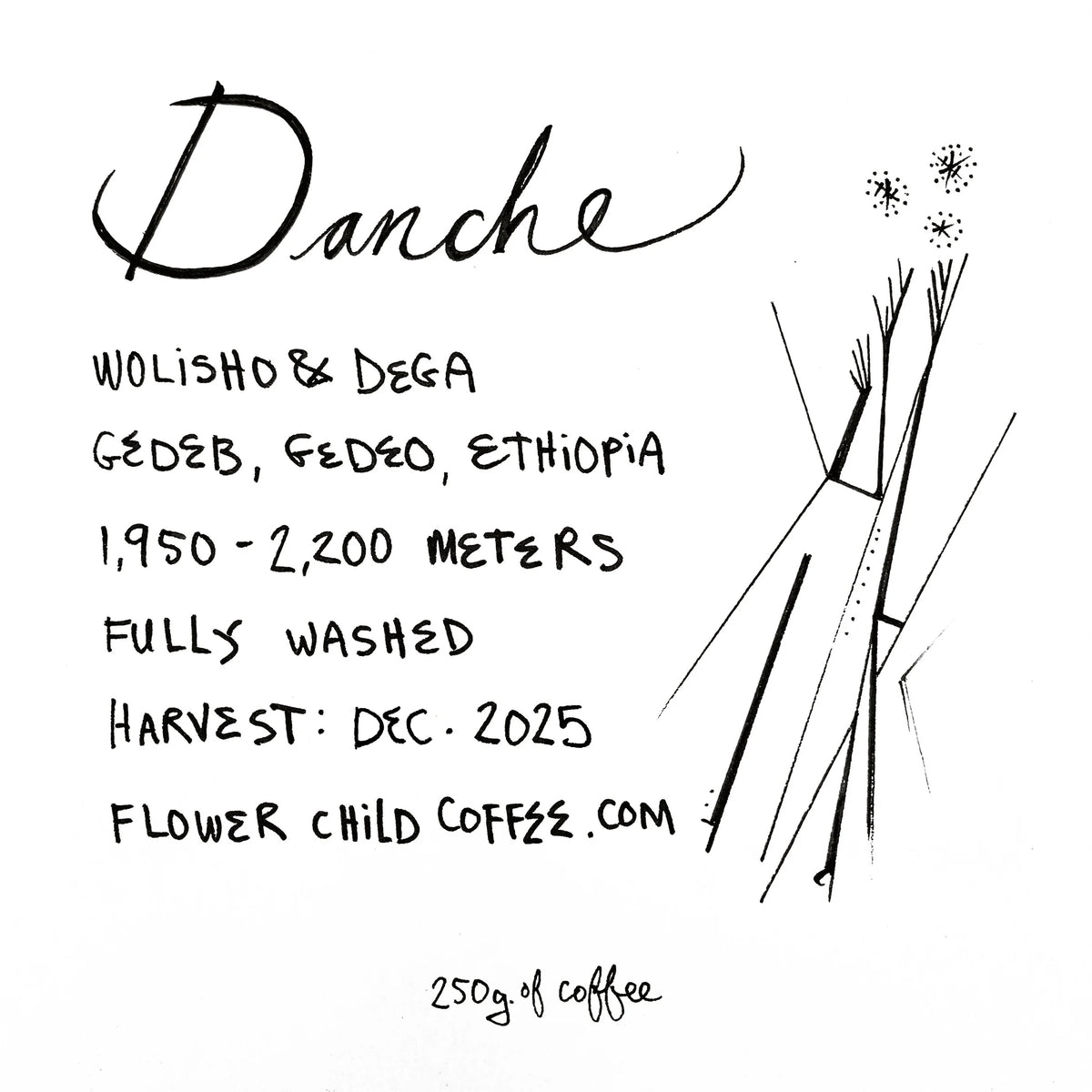 Danche - Ethiopia, Flower Child | 250g