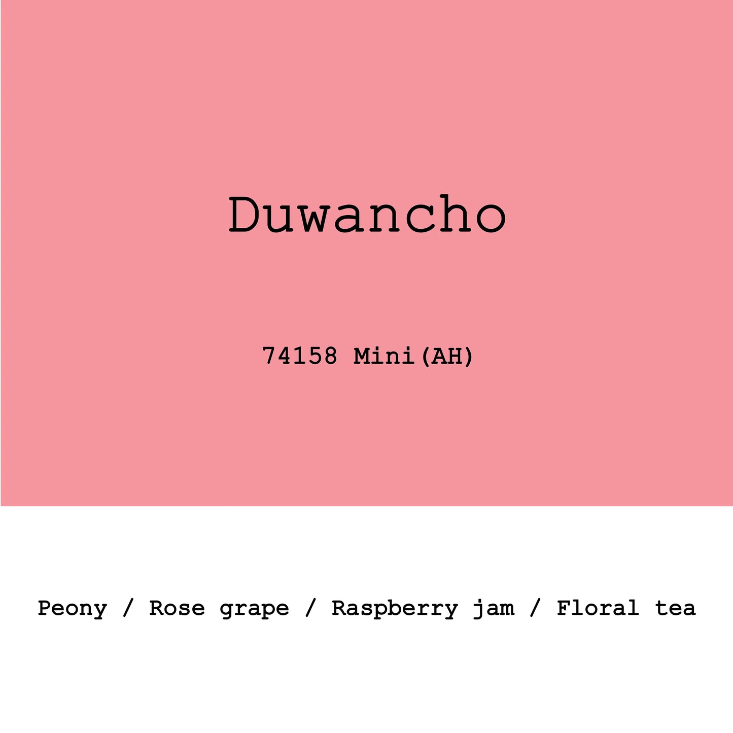 Duwancho Mini Anaerobic Honey - Ethiopia, Gout and Co | 100g