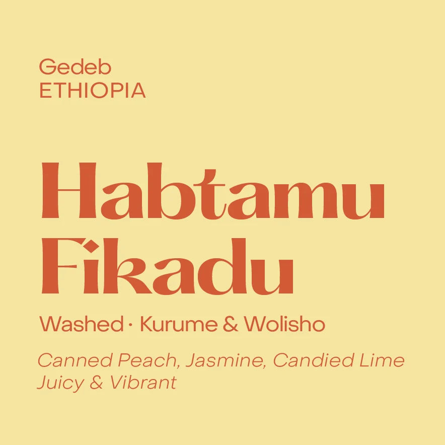 Habtamu Fikadu washed - Ethiopia, Subtext | 250g