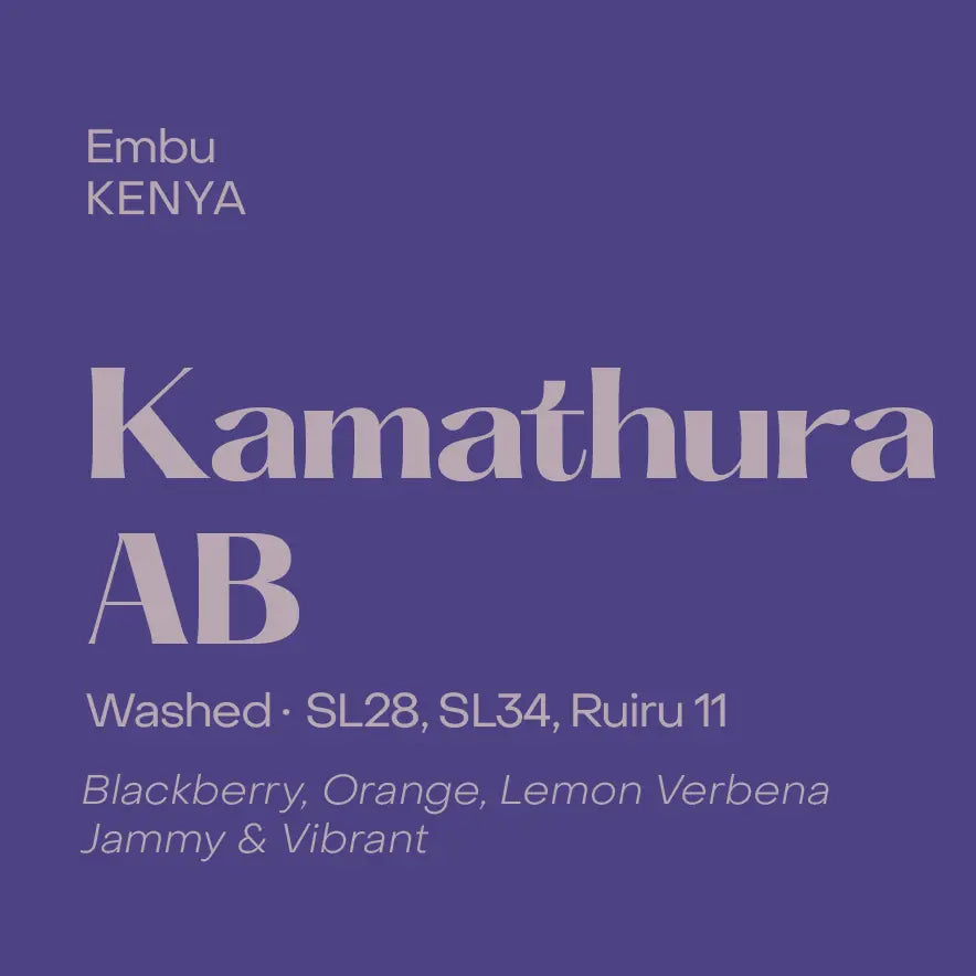 Kamathura AB - Kenya, Subtext | 250g
