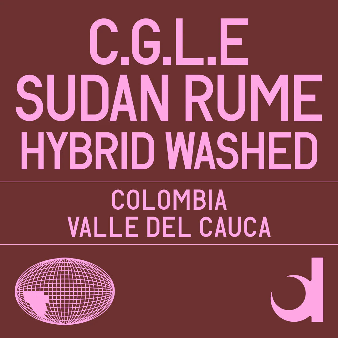 (Kopie) C.G.L.E. Sudande Rume washed - Colombia, Datura | 100g