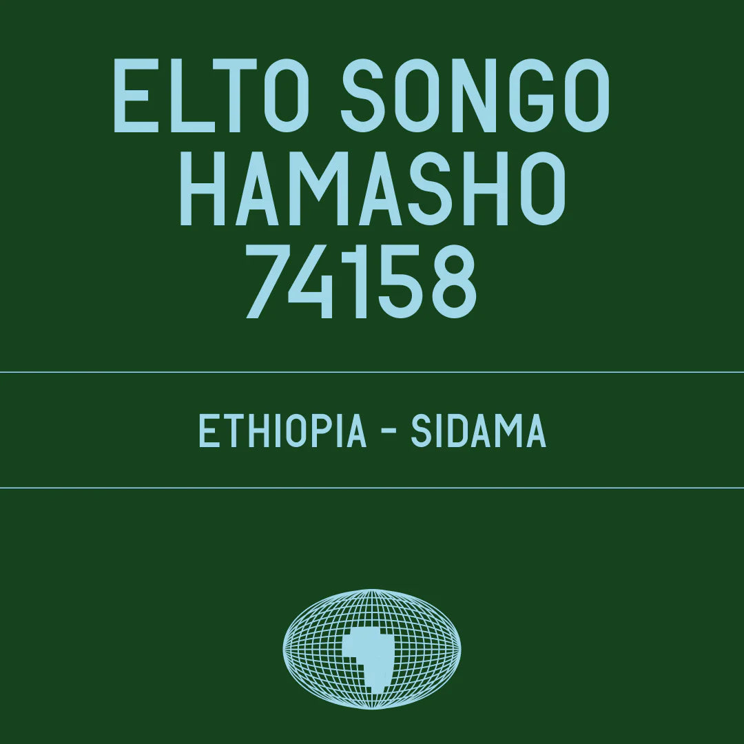 Elto Songo - Ethiopia, Datura | 200g
