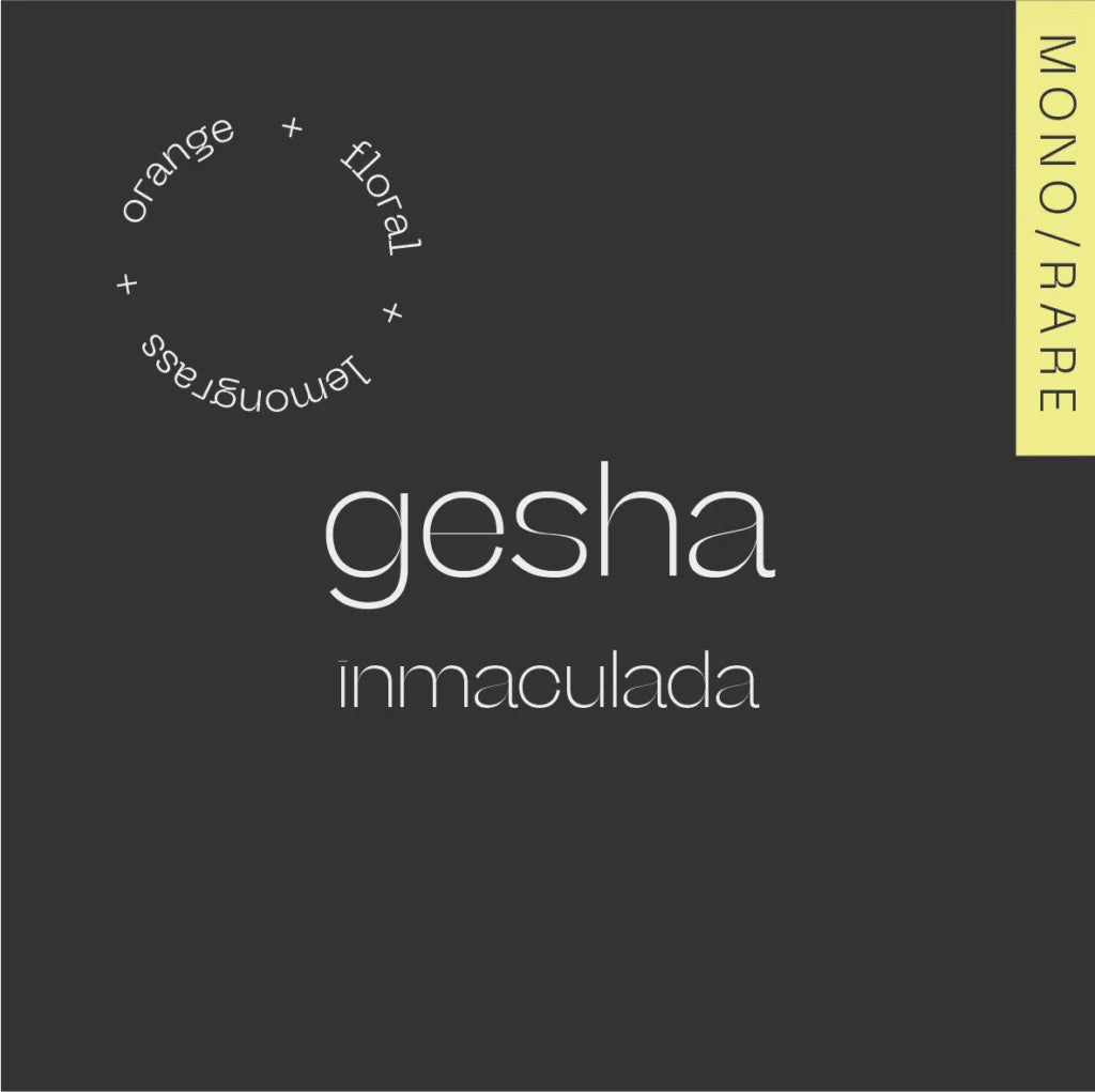 Gesha Inmaculada - Colombia, Amoc | 100g
