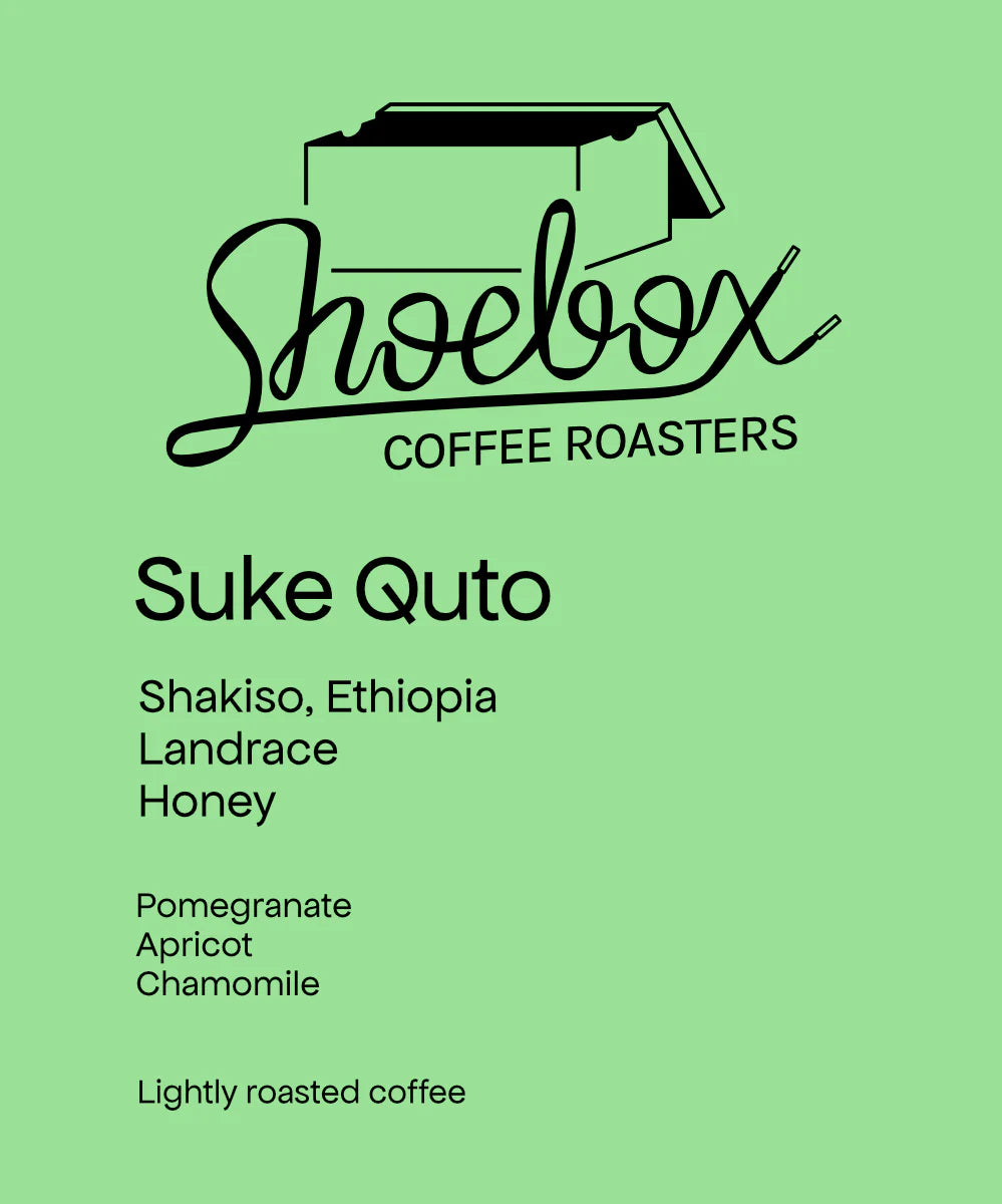 Suke Quto - Ethiopia, Shoebox | 125g