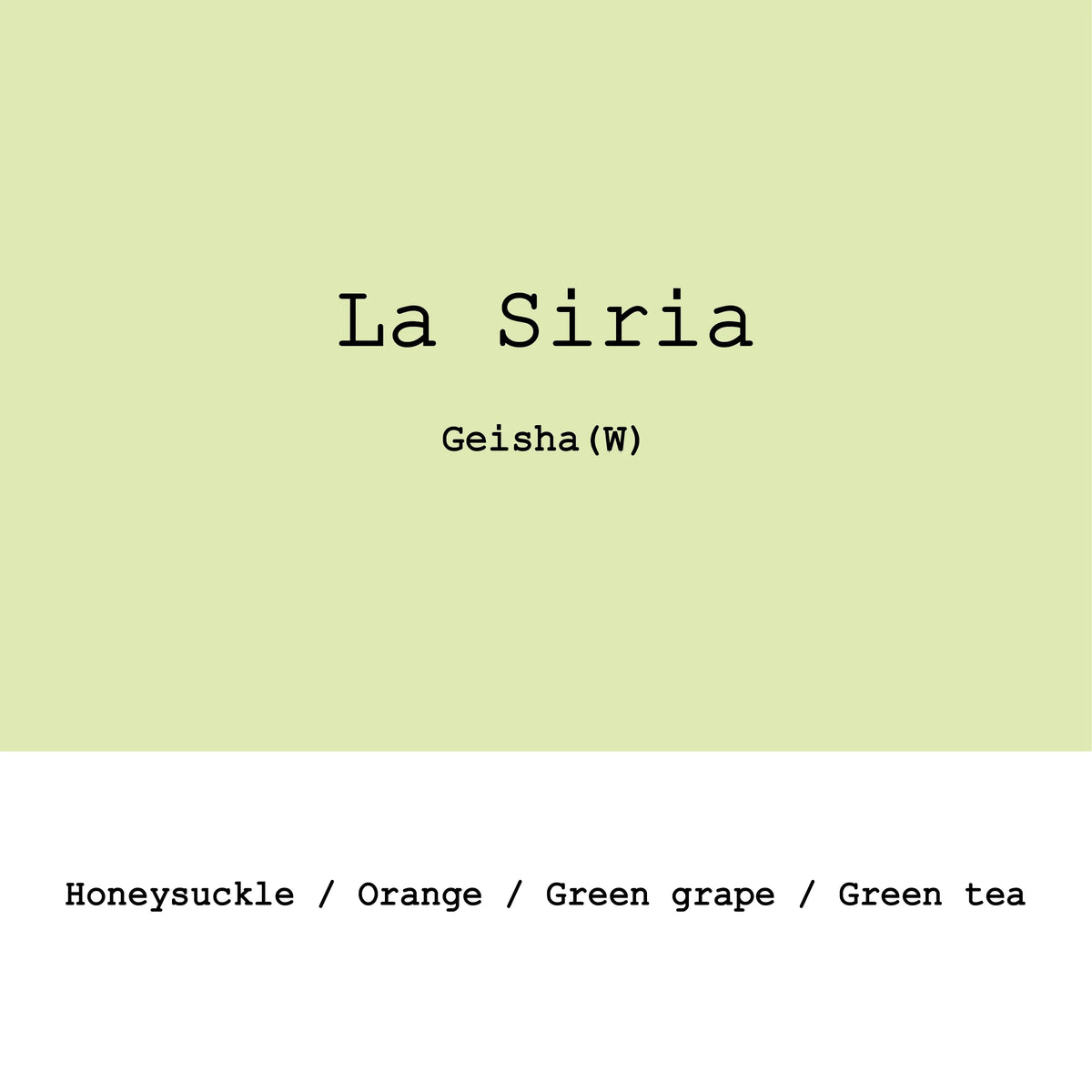 La Siria Geisha washed - Colombia, Gout and Co | 100g