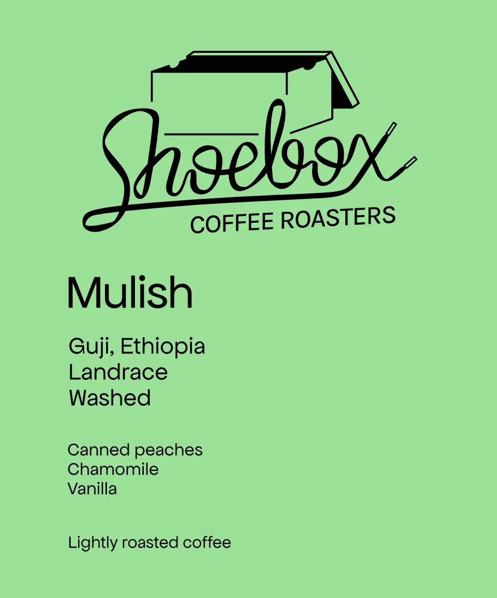 Mulish - Ethiopia, Shoebox | 125g