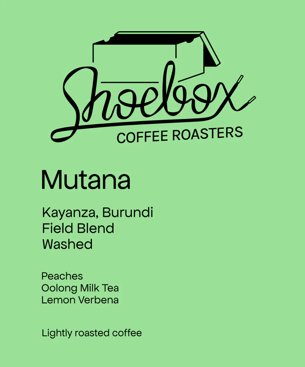 Mutana - Burundi, Shoebox | 125g