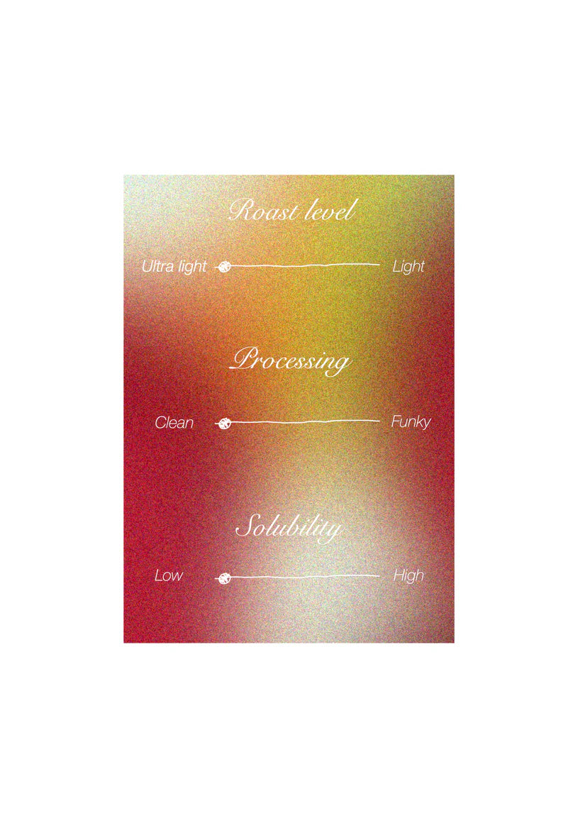 Lorenzo Arbildo Gesha - Peru, Ordinary | 100g