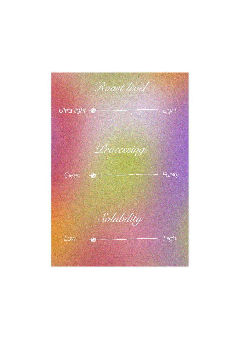 Gakenke washed - Burundi, Ordinary | 200g