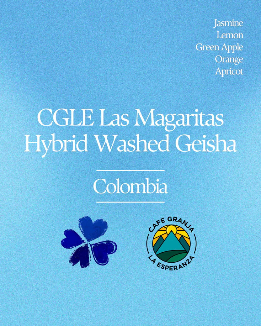 CGLE hybrid washed Las Magaritas Geisha - Colombia, Klover Coffee | 100g