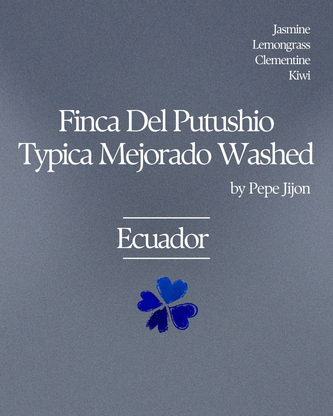 Finca Del Putushio Typica Mejorado - Ecuador, Klover Coffee | 100g