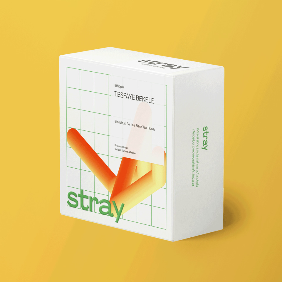 Tesfaye Bekele - Ethiopia, Stray | 250g