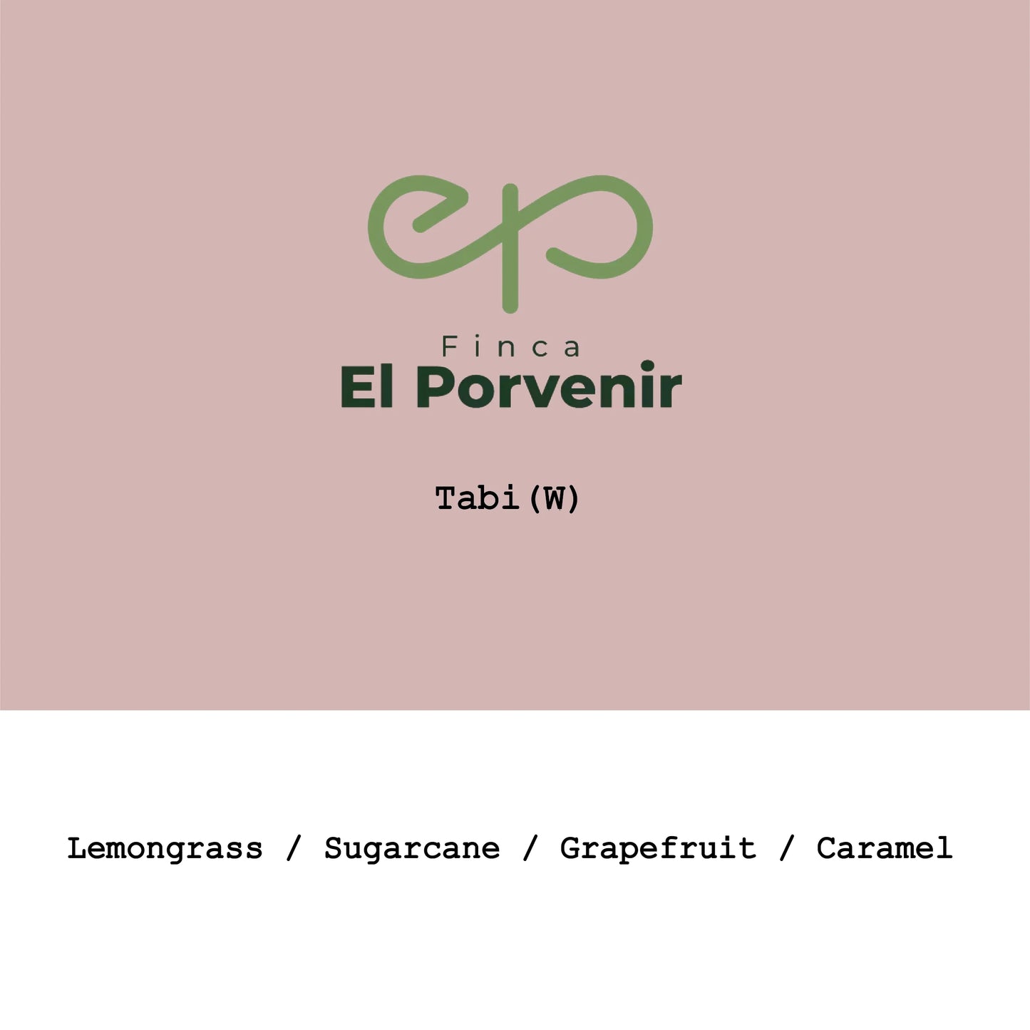 El Porvenir Tabi washed - Colombia, Gout and Co | 100g
