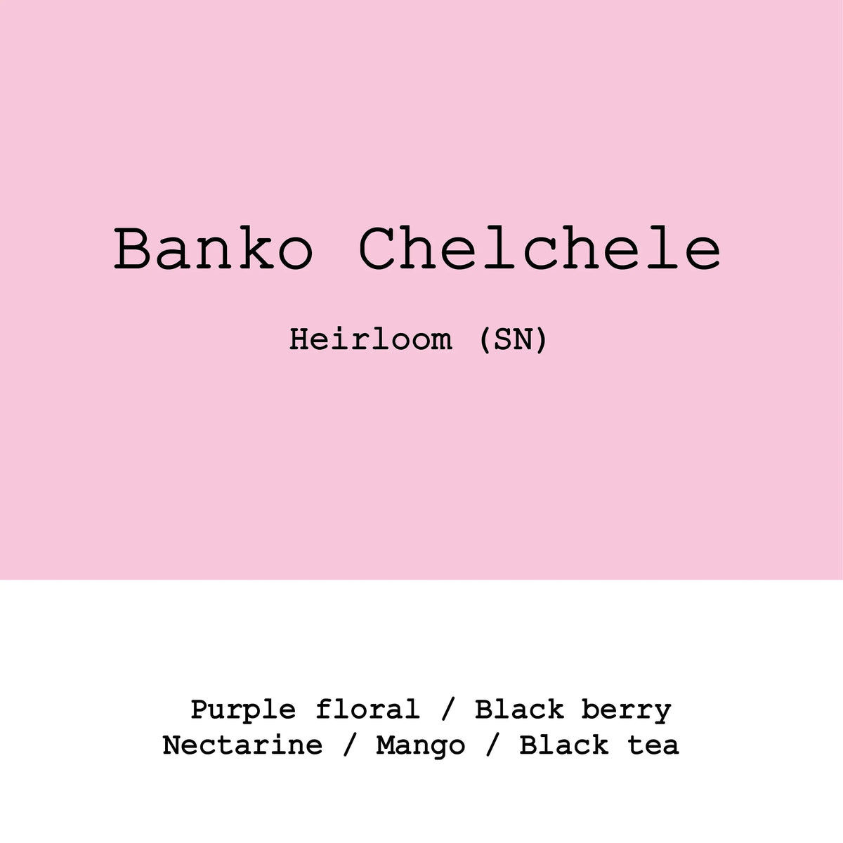 Banko Chelchele natural - Ethiopia, Gout and Co | 250g