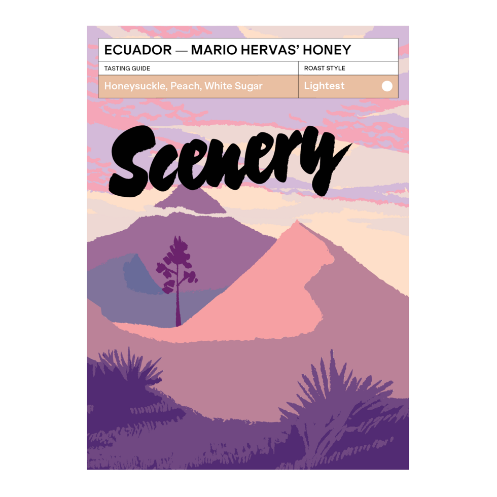 Mario Hervas Honey - Ecuador, Scenery | 200g