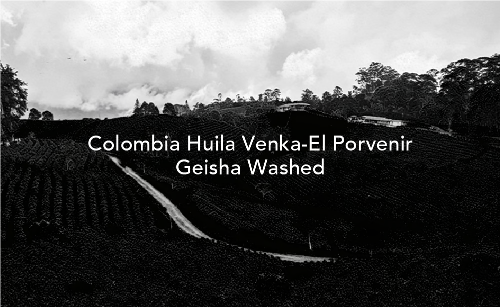 El Provenir Gesha - Colombia, Moby Dick | 75g