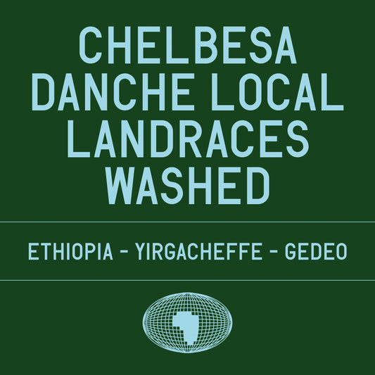 Chelbesa Danche washed - Ethiopia, Datura | 200g