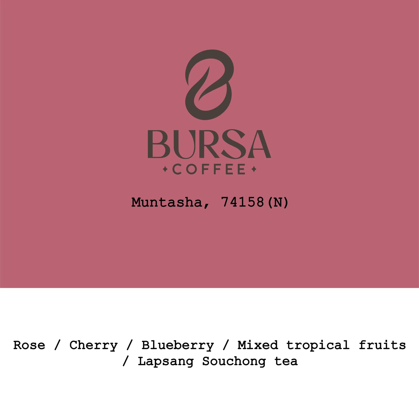 Muntasha 74158 Natural, new crop 2026 - Ethiopia, Gout and Co | 250g