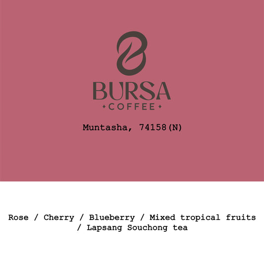 Muntasha 74158 Natural, new crop 2026 - Ethiopia, Gout and Co | 250g