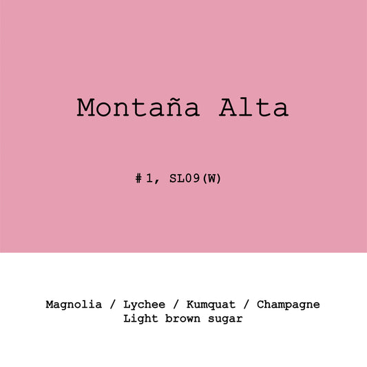 Montaña Alta SL09 Lot1 Washed - Peru, Gout and Co | 100g