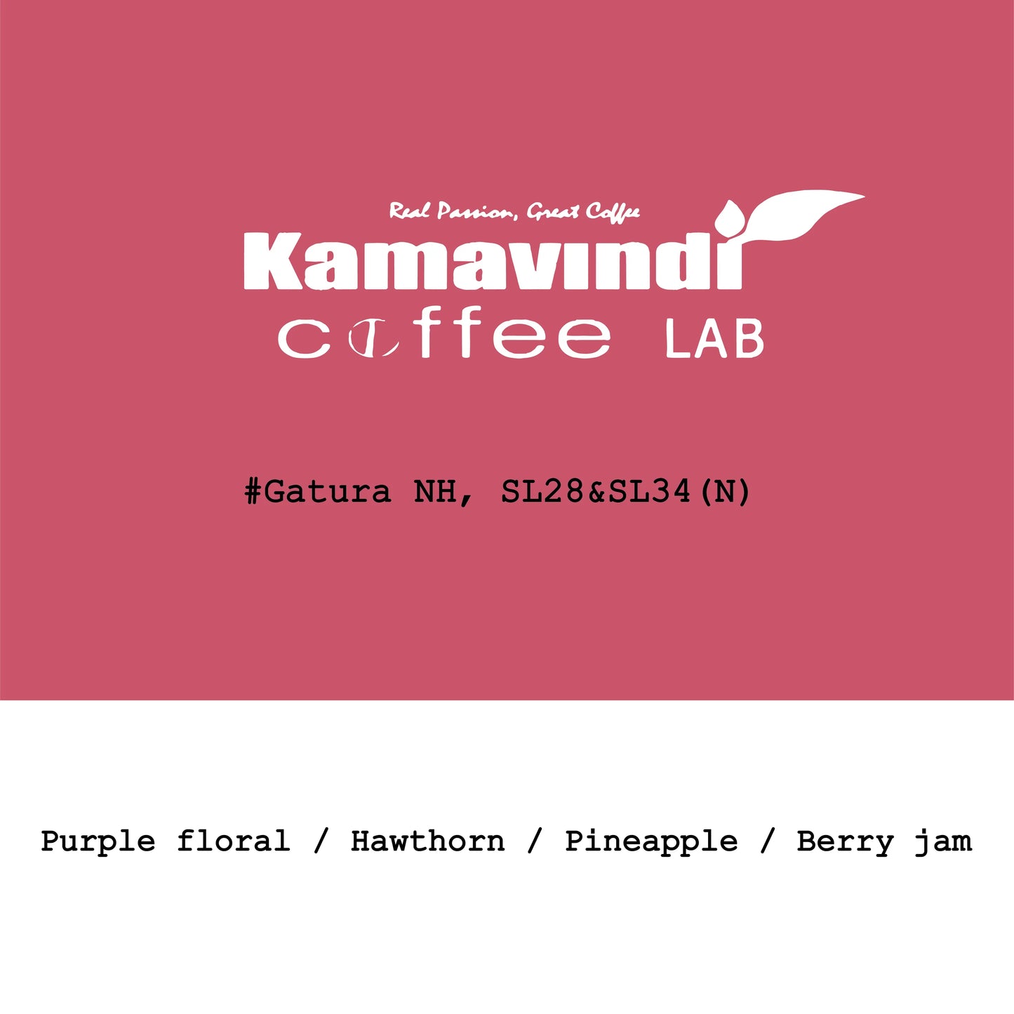 Kamavindi-Gatura station SL28&SL34 Slow dry natural, new crop 2026 - Kenya, Gout and Co | 200g