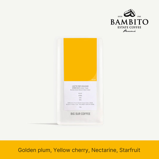 Panama Bambito Estate Natural Yellow Catuai Golden Tropic, Big Sur | 150g