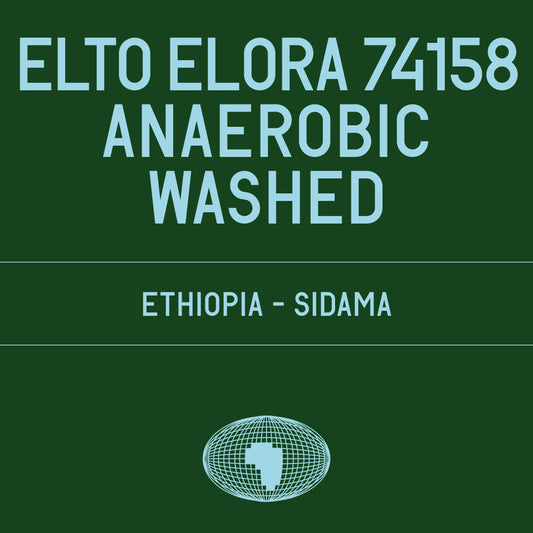 Elto Elora 74158 Anaerobic washed - Ethiopia, Datura | 200g