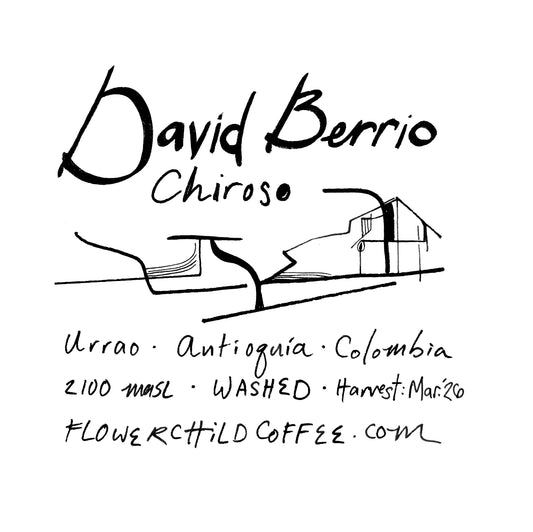 David Berrio - Colombia, Flower Child | 250g