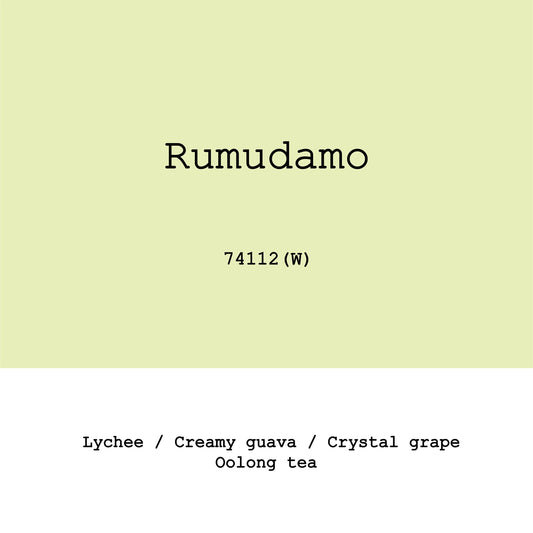 Rumudamo 74112 Washed, new crrop 2026 - Ethiopia, Gout and Co | 200g