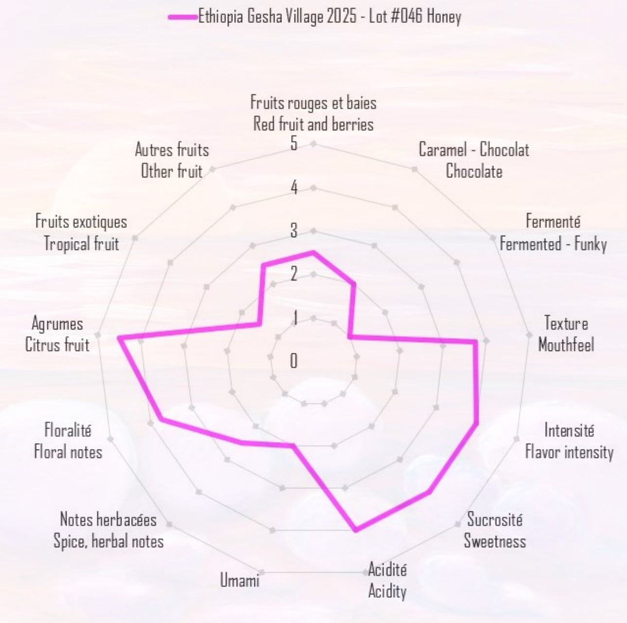 Gesha Village Lot 25/046 (suma honey) - Ethiopia, The Picky Chemist | 125g