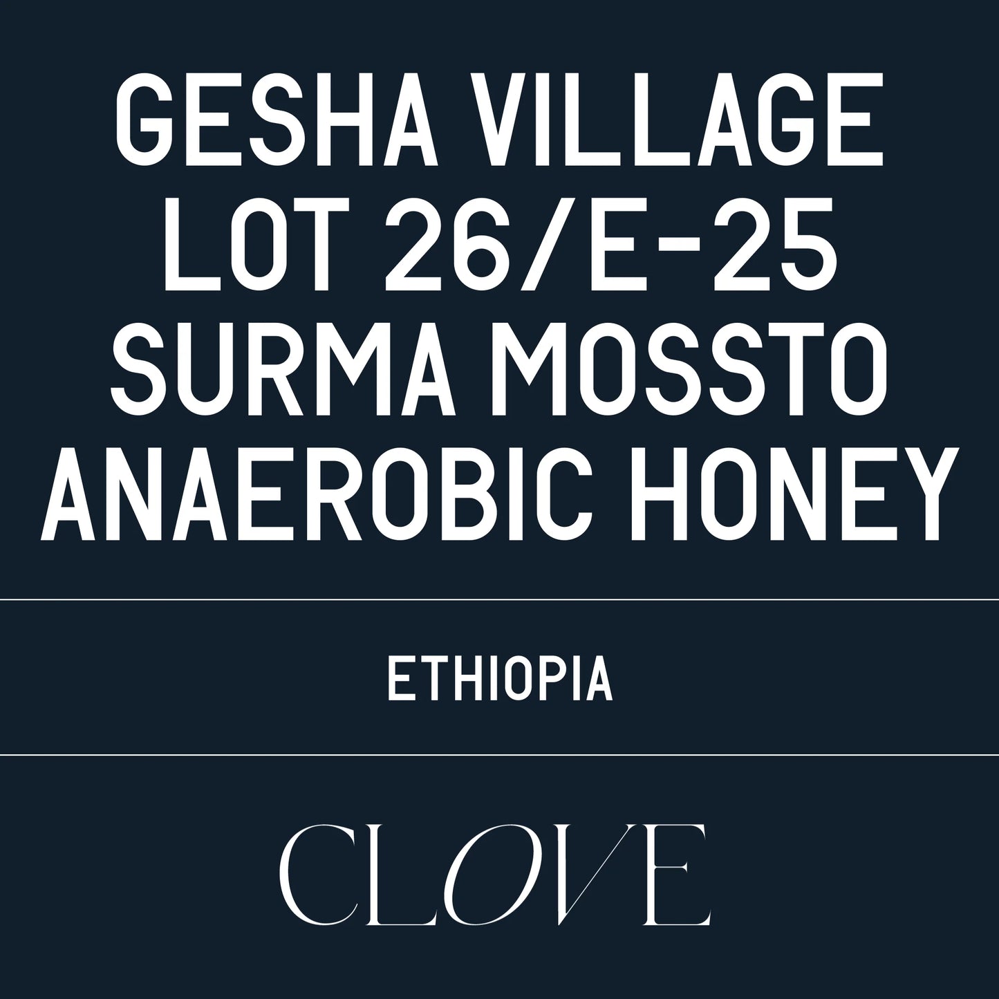 Lot 26/E-25 Gesha Village - Ethipiopia, Datura | 100g