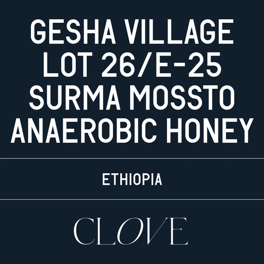 Lot 26/E-25 Gesha Village - Ethipiopia, Datura | 100g