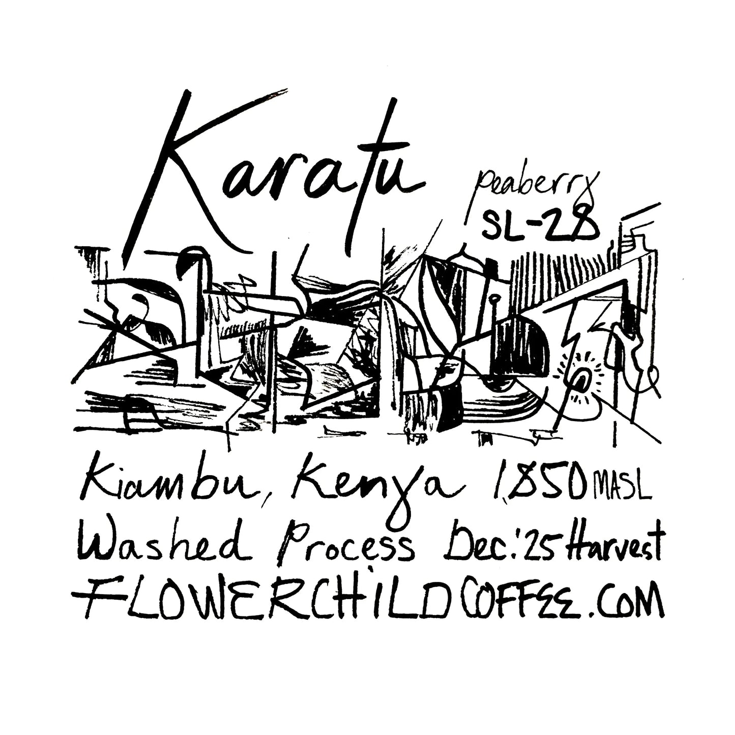 Karatu - Kenya, Flower Child | 250g