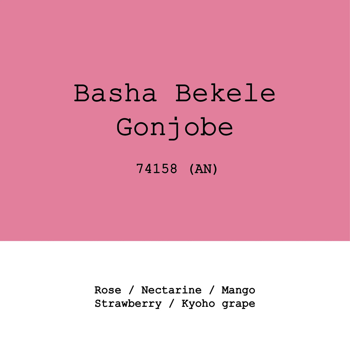 Gonjobe 74158 Anaerobic natural - Ethiopia, Gout and Co | 100g