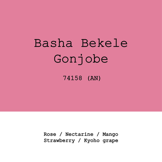 Gonjobe 74158 Anaerobic natural - Ethiopia, Gout and Co | 100g
