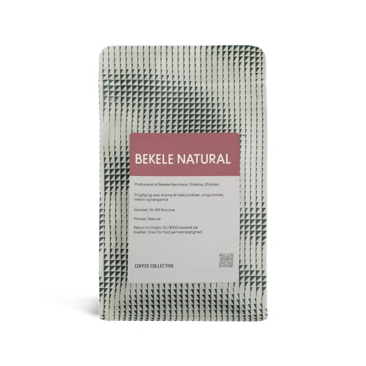 Bekele natural - Ethiopia, Coffee Collective | 250g