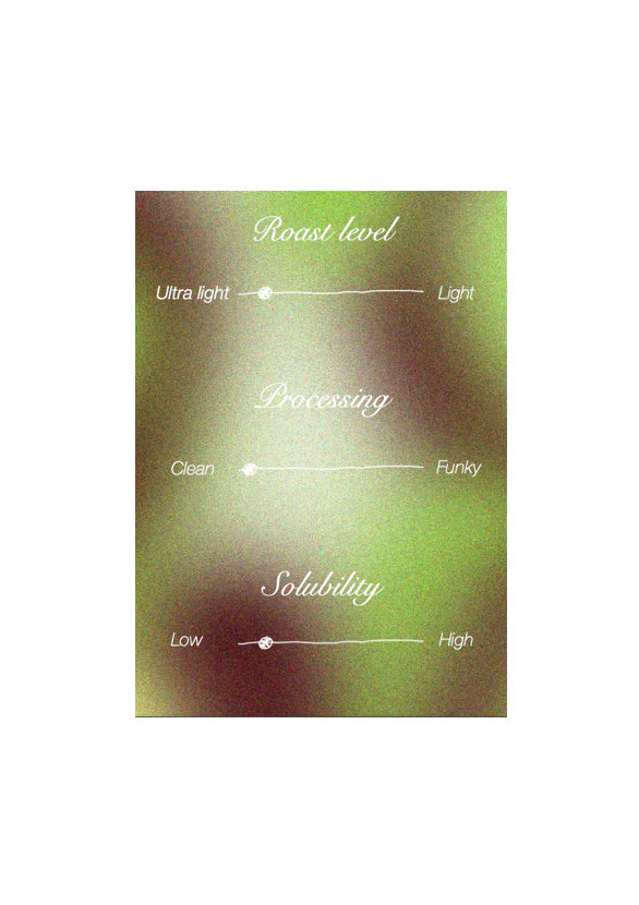 Felipe Luzon - Ecuador, Ordinary | 200g