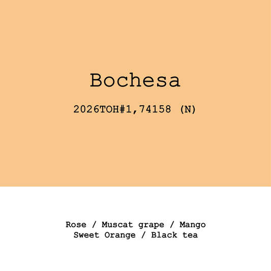 Bochesa 74158 natural - Ethiopia, Gout and Co | 100g