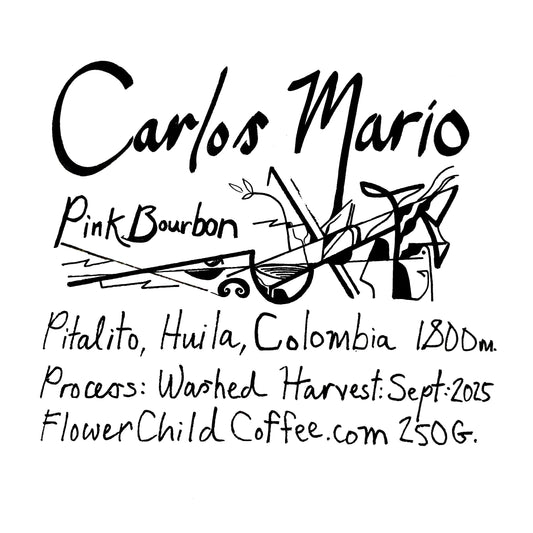 Carlos Mario - Colombia, Flower Child | 250g