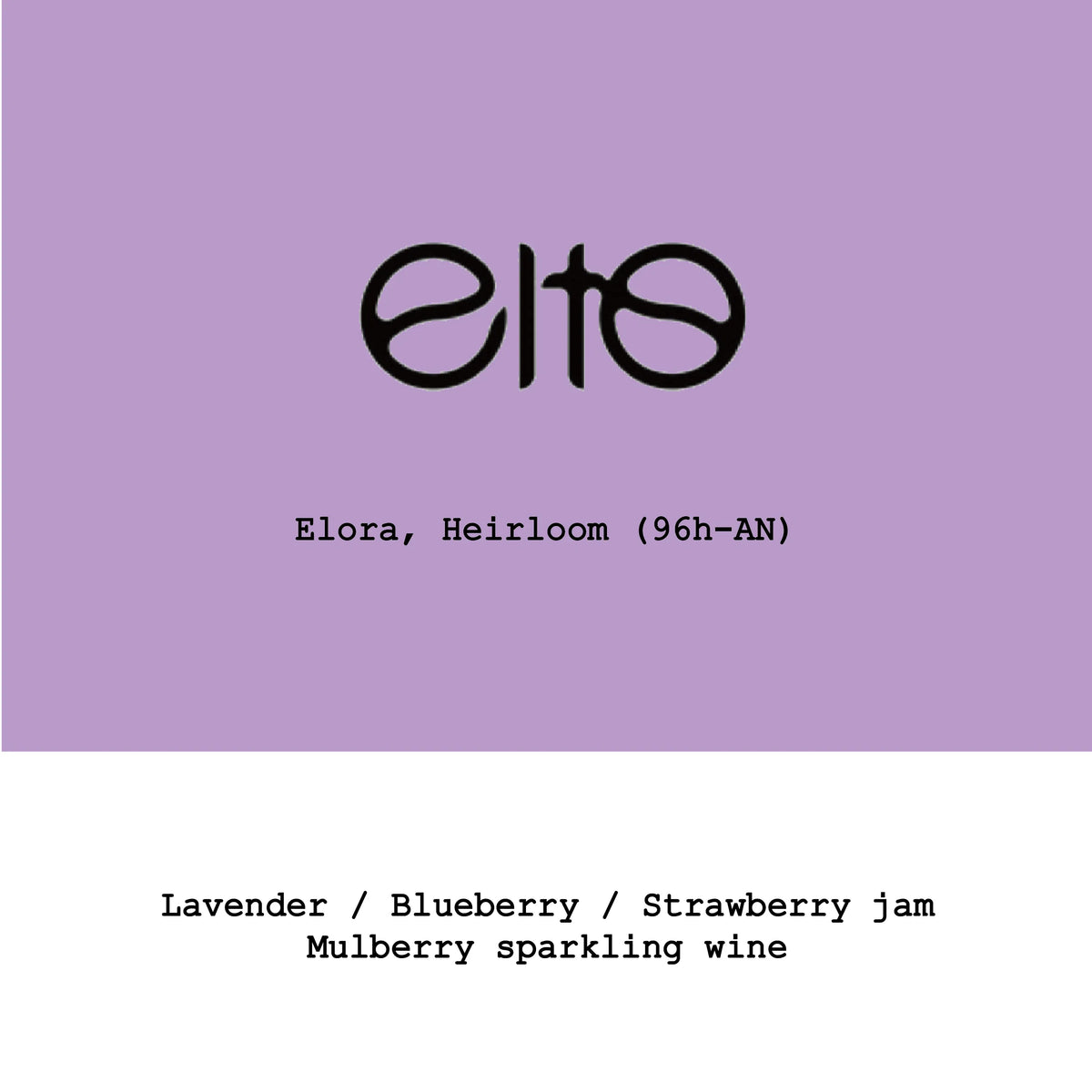 Elto Elora 96h anaerobic - Ethiopia, Gout and Co | 100g
