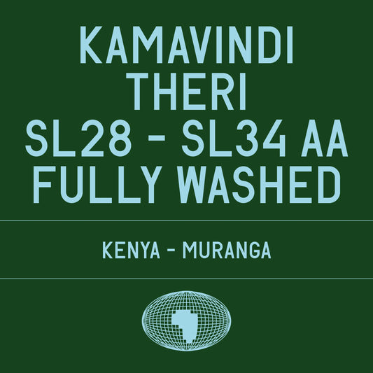 Kamavindi Theri Sl28 - Kenya, Datura | 200g