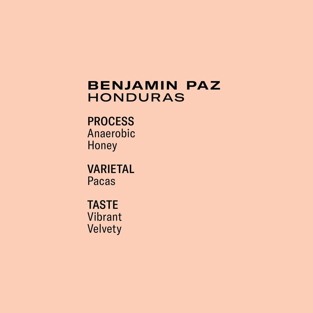 B. Paz Honey - Honduras, Frukt | 250g