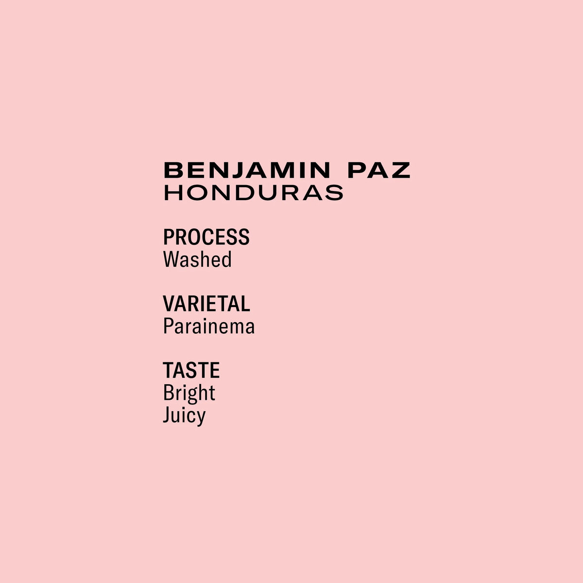 B. Paz Parainema - Honduras, Frukt | 250g
