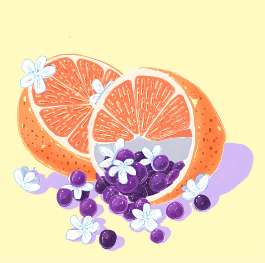 Lot Plano Finca Lerida Gesha - Panama, Hydrangea | 114g