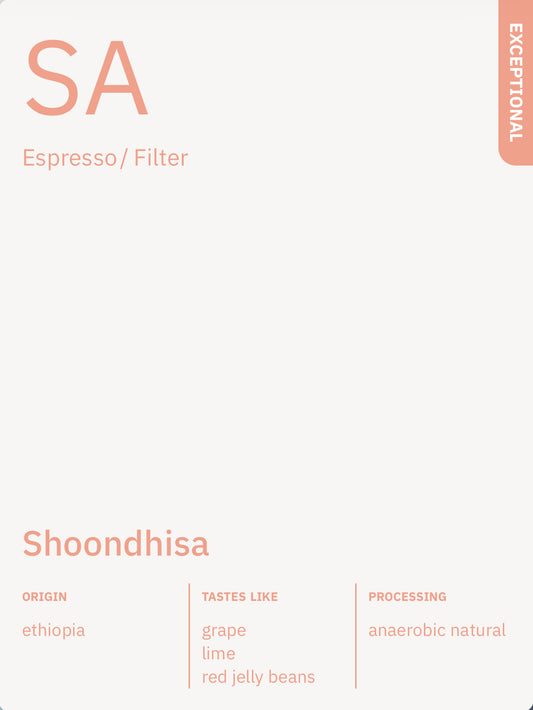 Shoondhisa anaerobic - Ethiopia, Manhattan Coffee | 250g