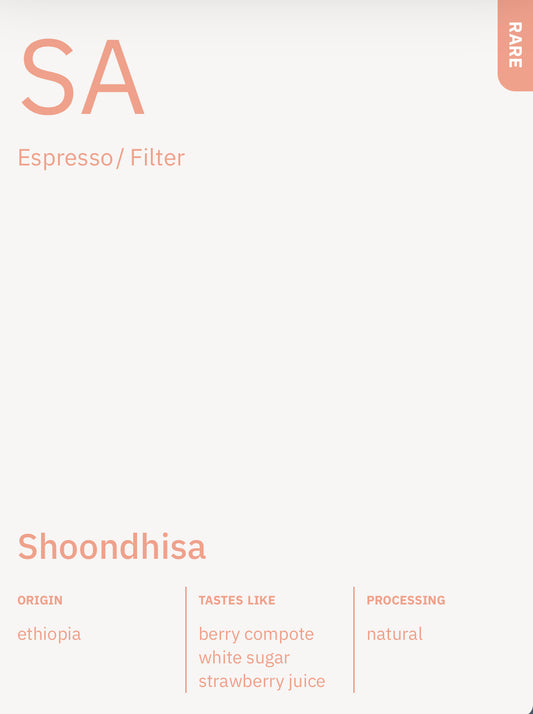 Shoondhisa - Ethiopia, Manhattan Coffee | 250g
