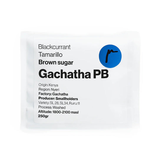 Gachatha PB - Kenya, Replica | 250g